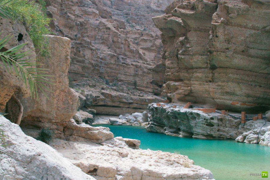   (Wadi Shab) .     (16 )