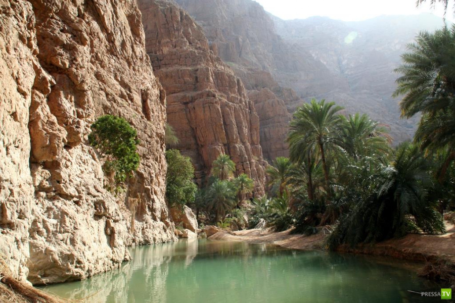   (Wadi Shab) .     (16 )
