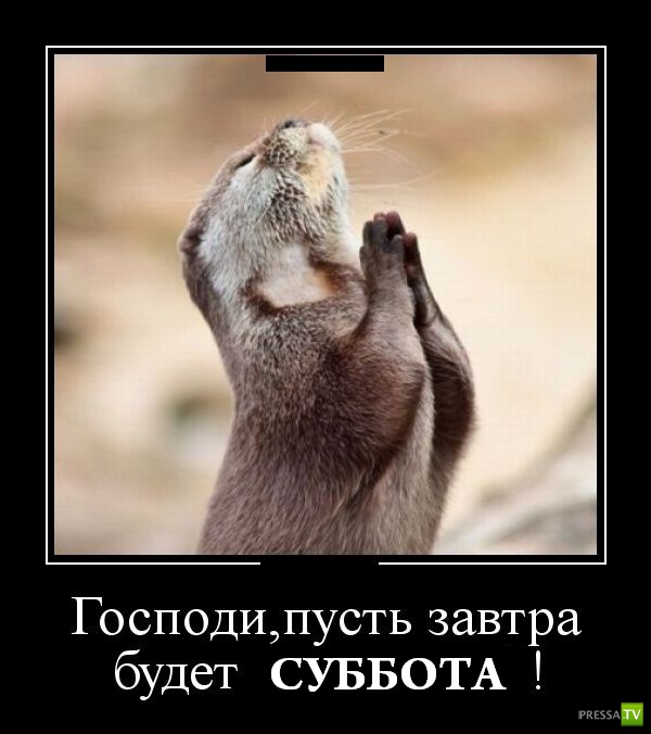 ������������ �� ������� 3 (30 ����)