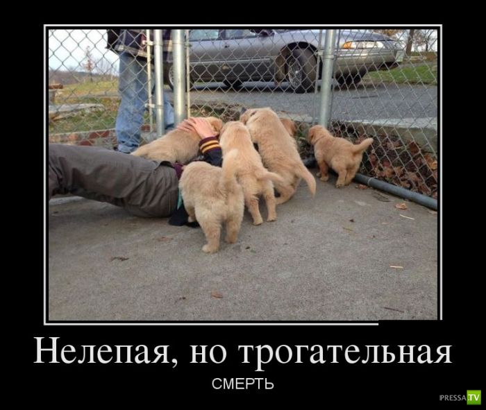 ������������ �� ������� 3 (30 ����)