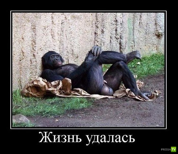 ������������ �� ������� 3 (30 ����)