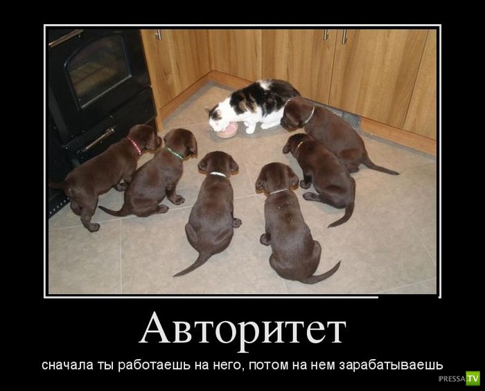 ������������ �� ������� 4 (36 ����)