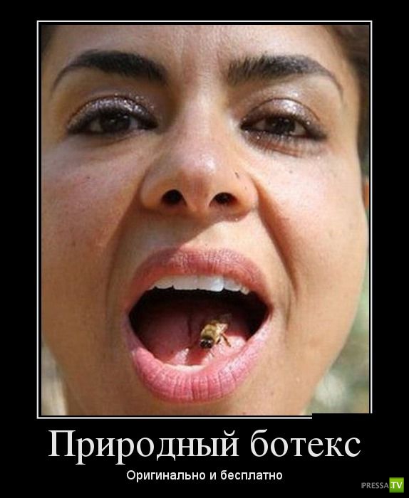 ������������ �� ������� 4 (36 ����)