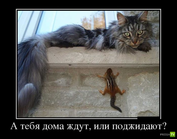 ������������ �� ������� 4 (36 ����)