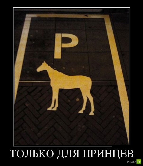 ������������ �� ������� 5 (30 ����)