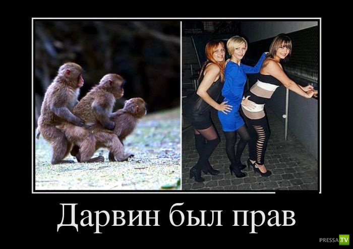 ������������ �� ������� 5 (30 ����)