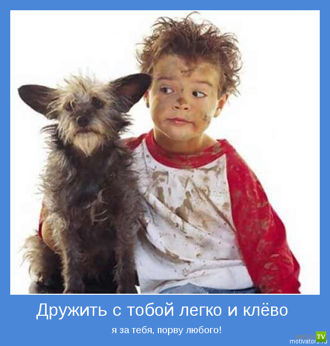 ���������� ���������� (15 ����)