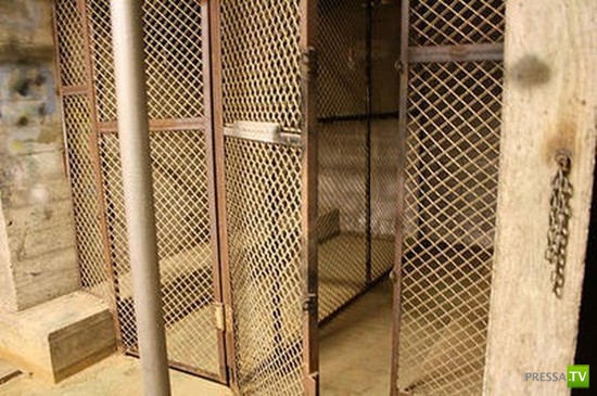 ������, ��� ������� ������ ��� �������� (18 ����)