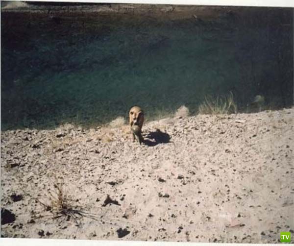 ������-������� (9 ����)