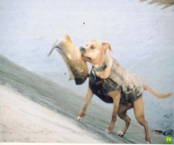 ������-������� (9 ����)