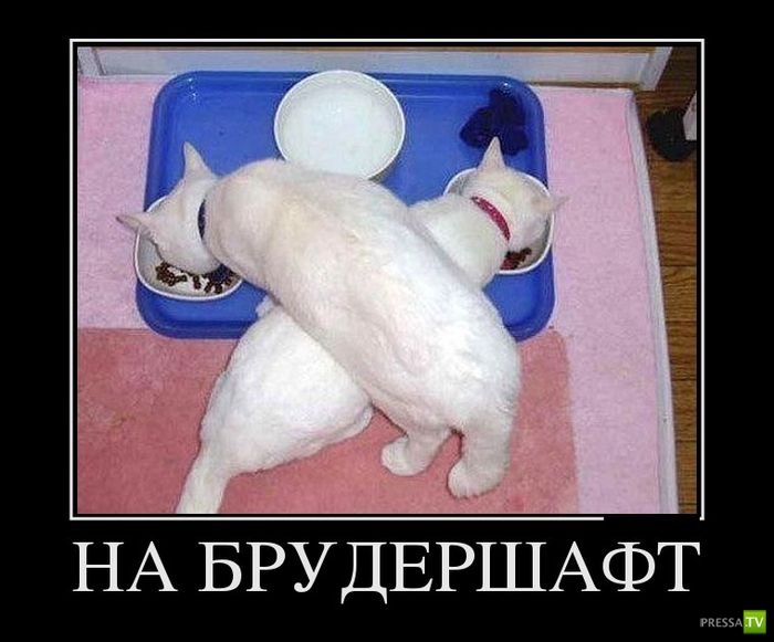 ������������ �� ������� 24 (42 ����)