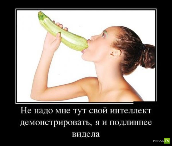 ������������ �� ������� 24 (42 ����)