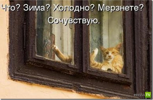 ���������� �����������, ����� 2 (38 ����)