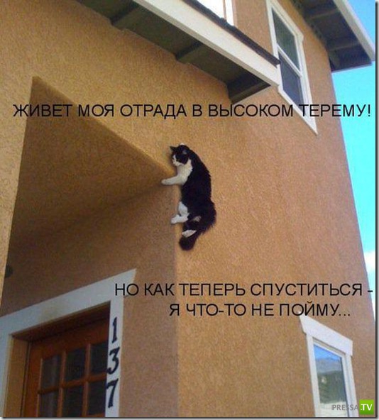 ���������� �����������, ����� 2 (38 ����)