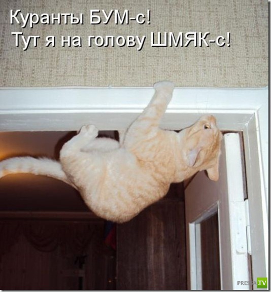 ���������� �����������, ����� 2 (38 ����)