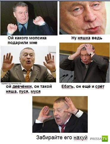 ���������� ���� � ����������� (34 ����)