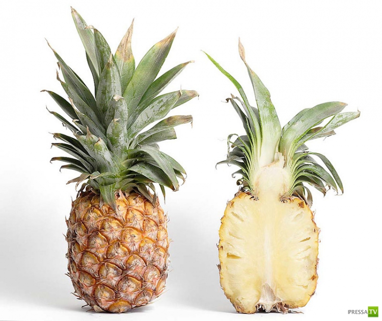 Чем питаться, чтобы сжечь жиры? (20 фото)