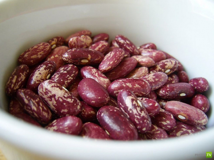 Чем питаться, чтобы сжечь жиры? (20 фото)