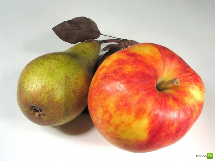 Чем питаться, чтобы сжечь жиры? (20 фото)