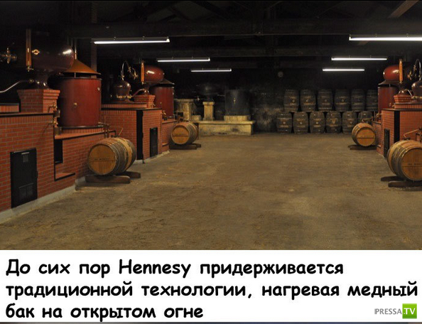    Hennesy (10 )