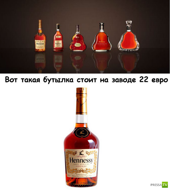    Hennesy (10 )