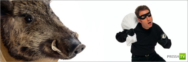 6 психических расстройств, каждое из которых случается только в одном месте на Земле ... (6 фото) 6 психических расстройств, каждое из которых случается только в одном месте на Земле ... (6 фото)