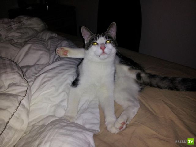 ����� � �������� ��������, ����� 63 (41 ����)