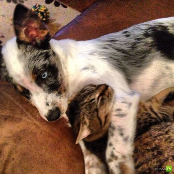 ����� � �������� ��������, ����� 63 (41 ����)