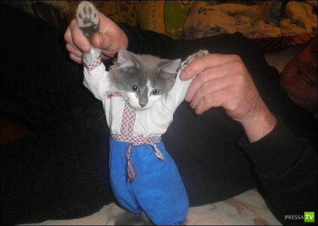 ����� � �������� ��������, ����� 63 (41 ����)