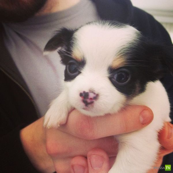 ����� � �������� ��������, ����� 63 (41 ����)