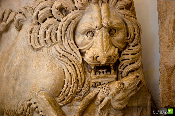 ��������� (24 ����)