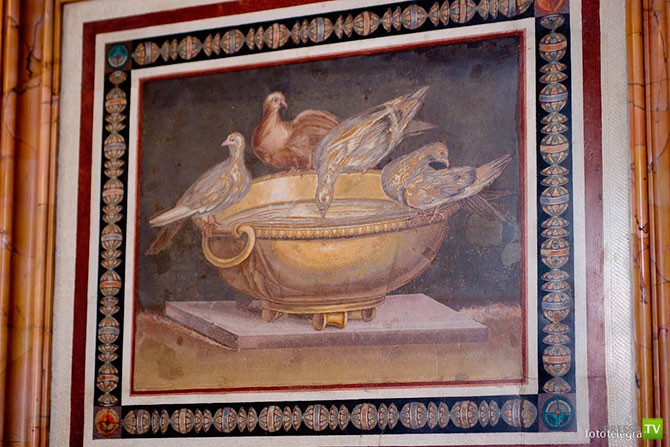 ��������� (24 ����)