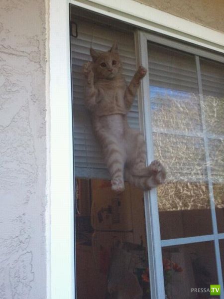 ����� � �������� ��������, ����� 64 (44 ����)