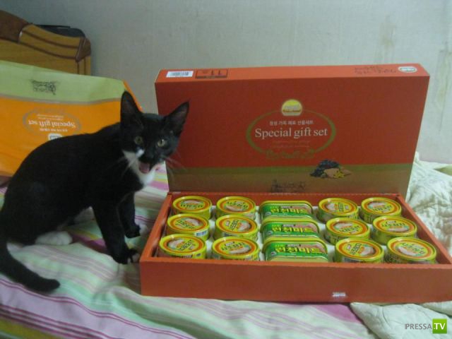 ����� � �������� ��������, ����� 64 (44 ����)