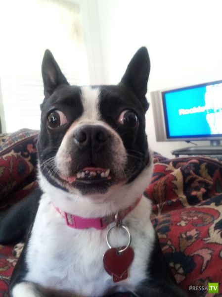 ����� � �������� ��������, ����� 64 (44 ����)