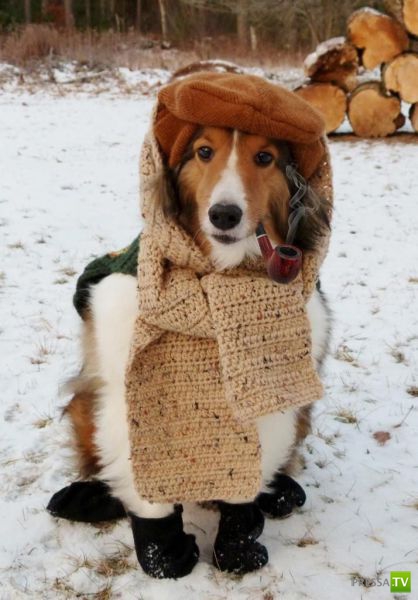 ����� � �������� ��������, ����� 64 (44 ����)