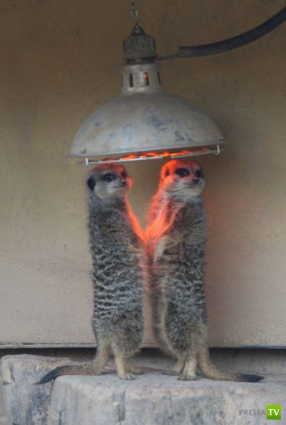 ����� � �������� ��������, ����� 64 (44 ����)