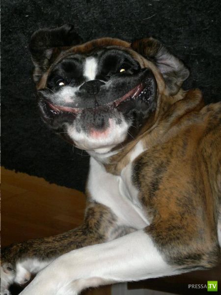 ����� � �������� ��������, ����� 64 (44 ����)