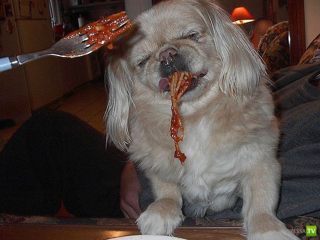 ����� � �������� ��������, ����� 64 (44 ����)