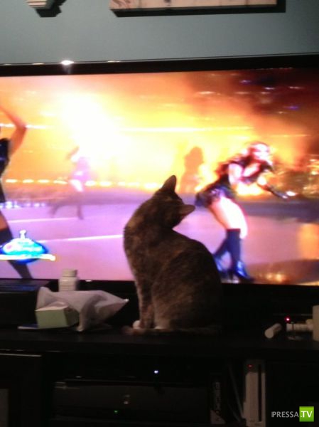 ����� � �������� ��������, ����� 64 (44 ����)