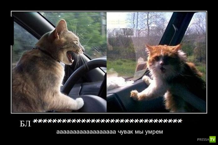 ������������ �� ������� 5 (33 ����)