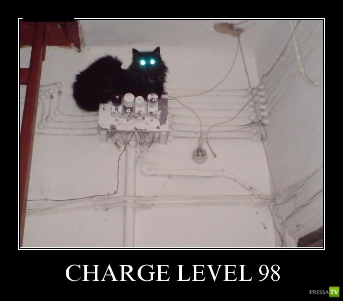 ������������ �� ������� 5 (33 ����)