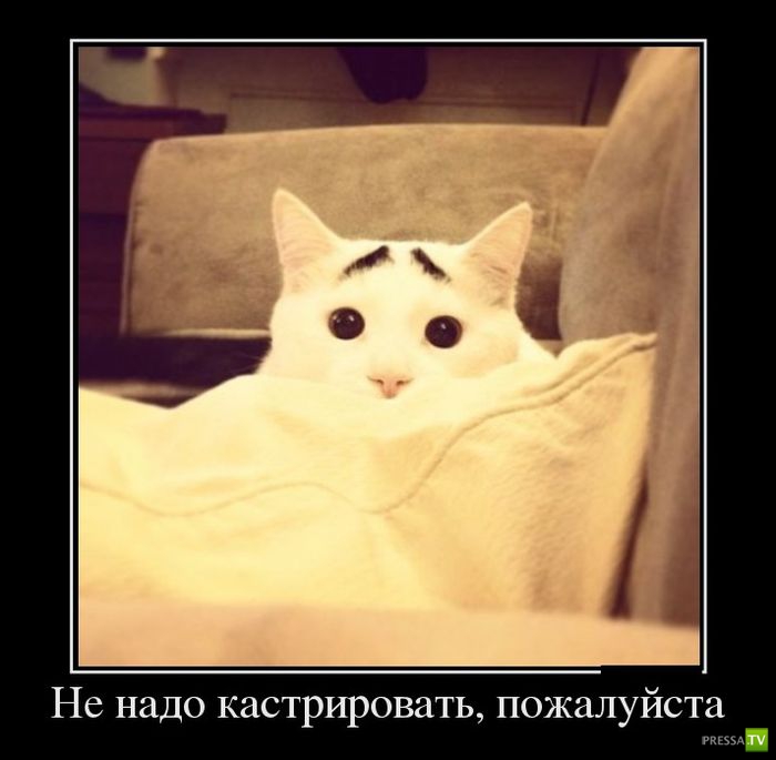 ������������ �� ������� 5 (33 ����)