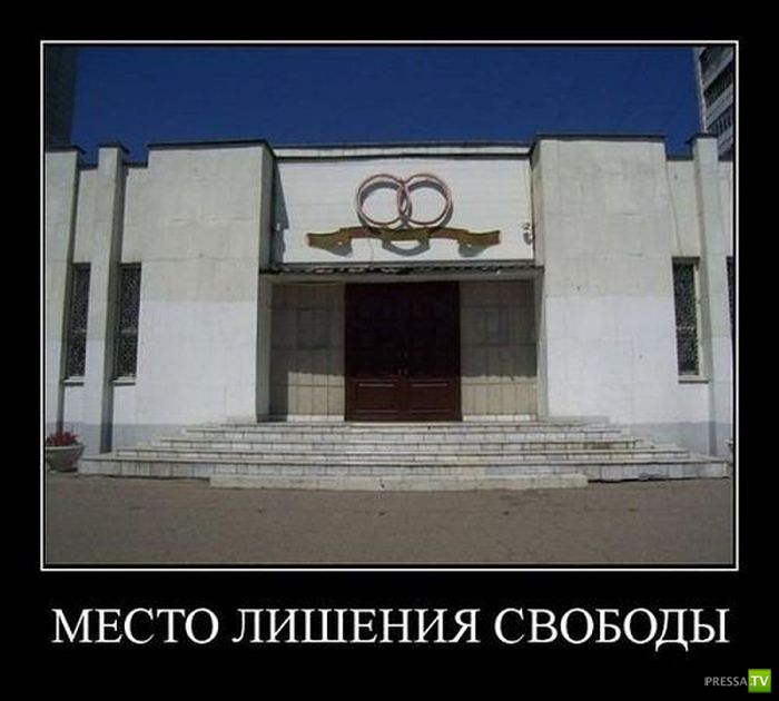 ������������ �� ������� 5 (33 ����)