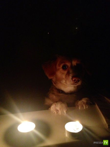 ����� � �������� ��������, ����� 68 (50 ����)