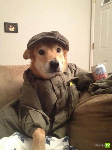 ����� � �������� ��������, ����� 68 (50 ����)