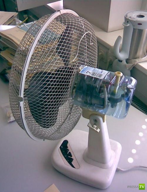 ���� �� ������� ����� (16 ����)