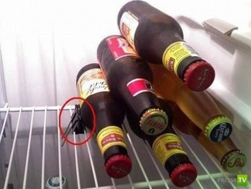 ���� �� ������� ����� (16 ����)