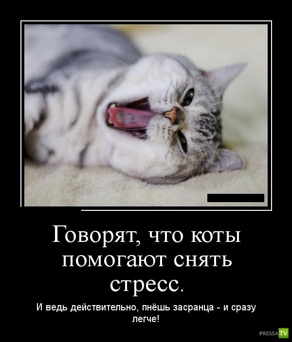 ������������ �� ������� 15 (30 ����)