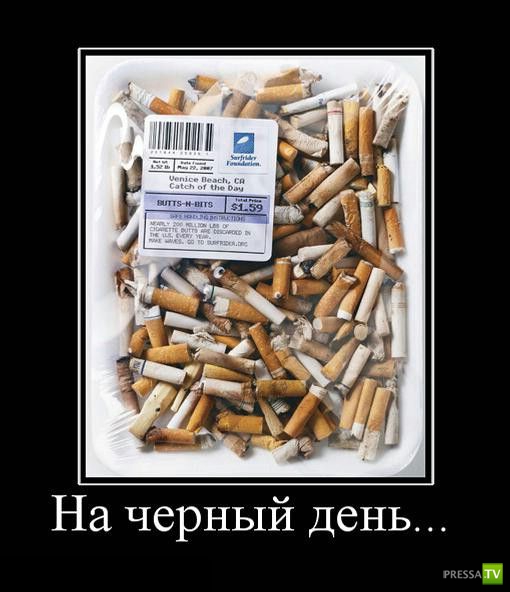 ������������ �� ������� 15 (30 ����)